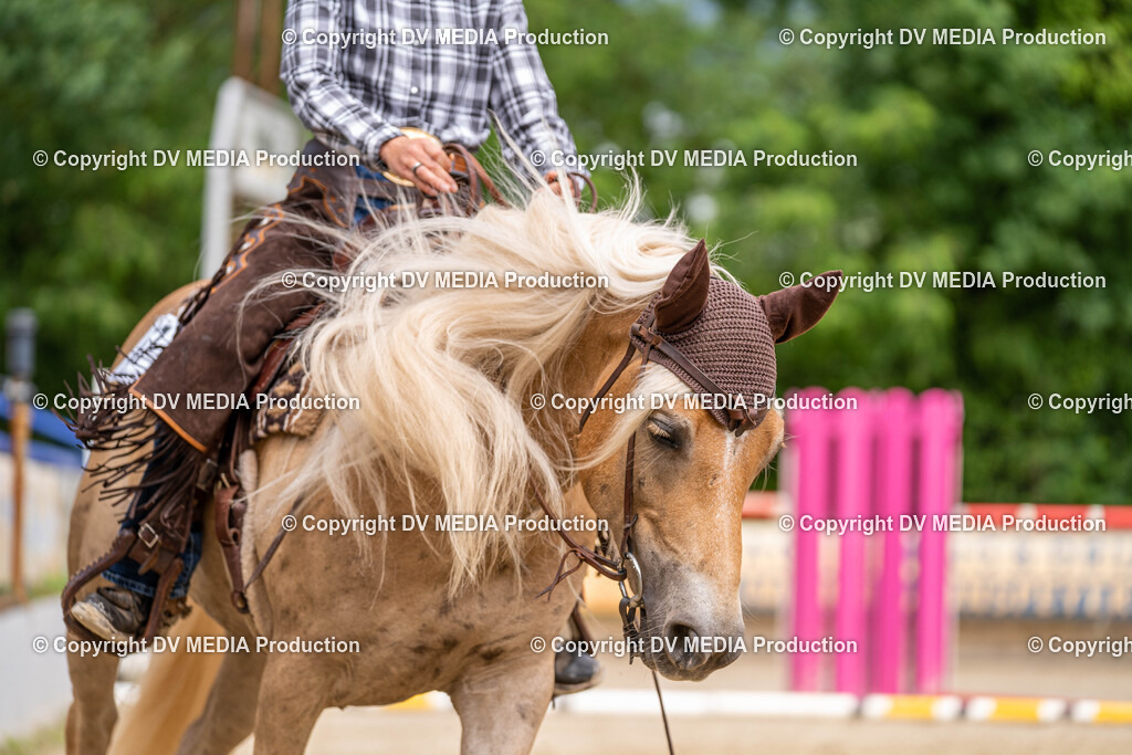 Zeiskam Tag 1-827 | dv-media-shop - Realisiert mit Pictrs.com