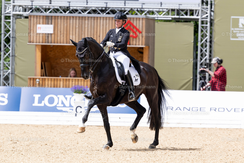 TH_443-Special Blend 3-Werth_ Isabell_29762 | Al Shiraàa Deutsches Spring- und Dressur-Derby 2025 am 29.05.25 in Hamburg, Thomas Hellmann, 443Special Blend 3Werth, Isabell
