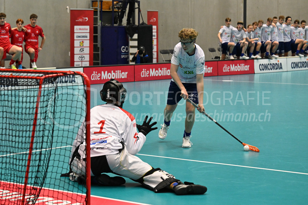 Switzerland B U19 vs Finland U19 - 2. February 2024 | Switzerland B U19 vs Finland U19
U19 Men International Matches in Switzerland
GoEasy Arena, Siggenthal Station
Switzerland goalie #1 Eric Kunz against Finland forward #33 Marius Niemelä.
Credit: Markus Aeschimann | <a href="https://www.markus-aeschimann.ch">Sportfotografie Markus Aeschimann</a> | <a href="https://www.instagram.com/sportfotografie.aeschimann">@sportfotografie.aeschimann</a> - Realisiert mit Pictrs.com