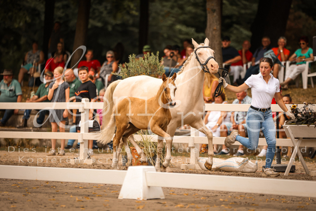 SaPA00240 | Leoni Ertmer Photography - Realisiert mit Pictrs.com