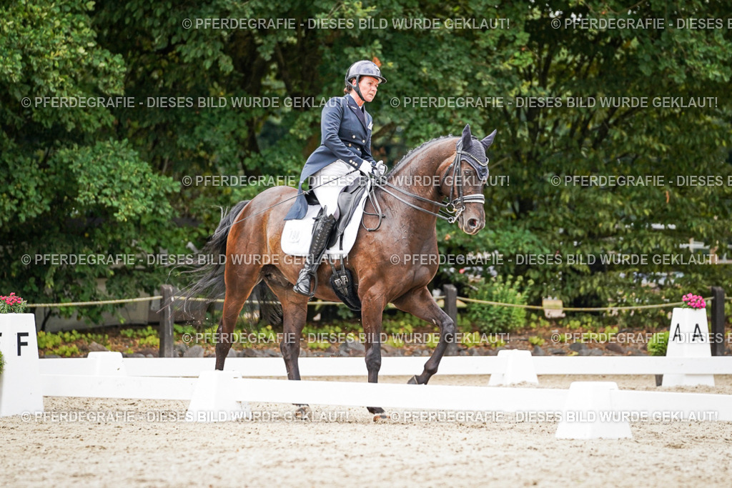 DSC07436 | Pferdegrafie