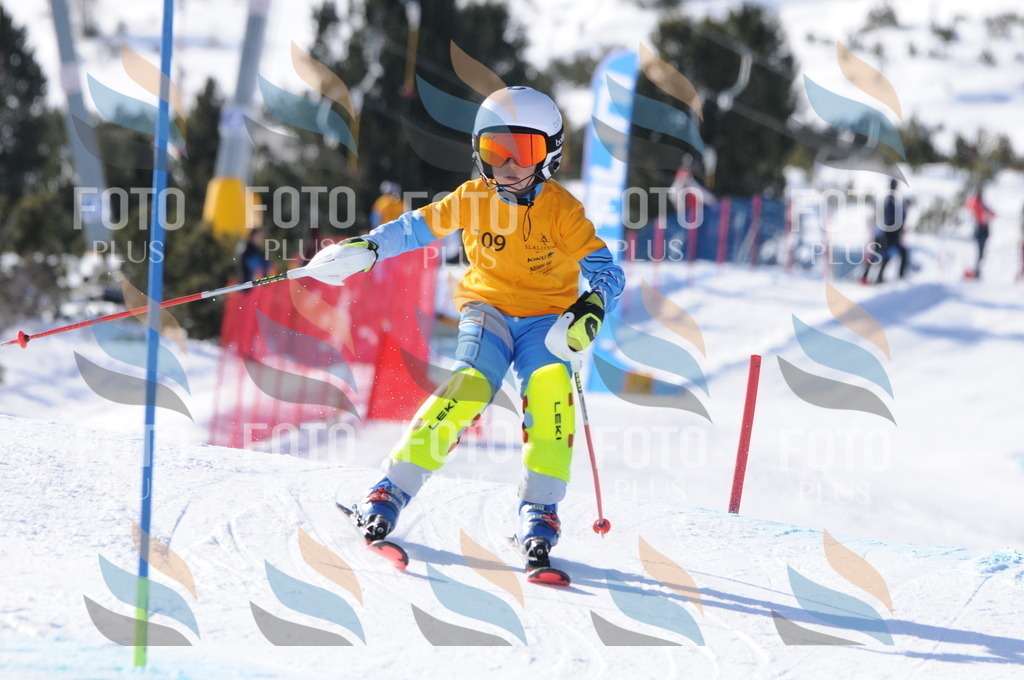 C7117 | holidayphoto