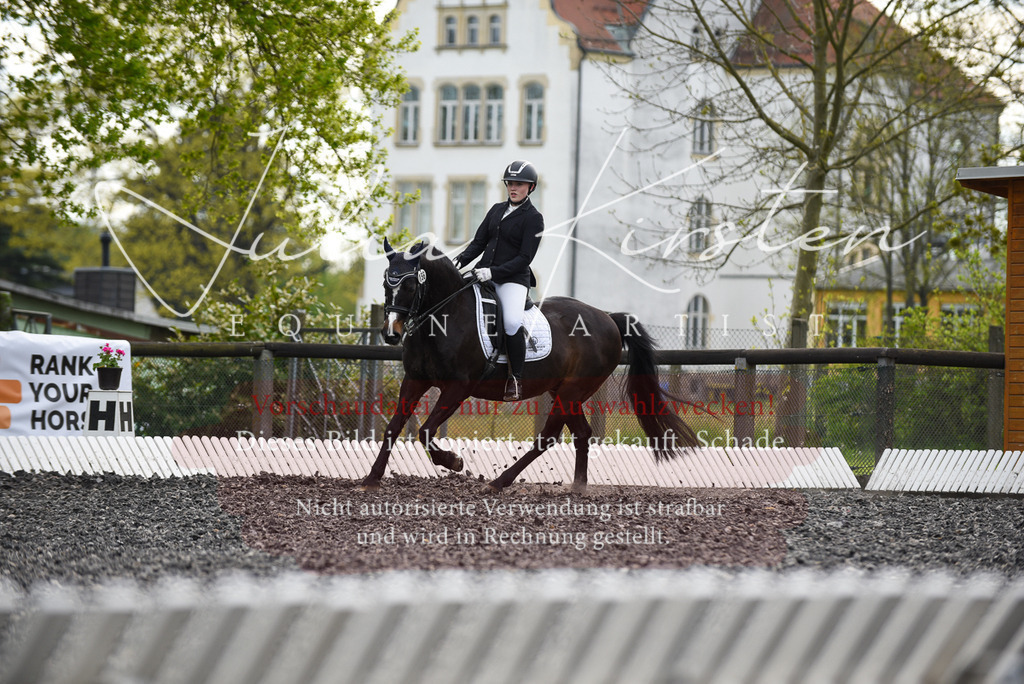 20230513_JK-Röhrsdorf-17-225 | Pferde- und Turnierfotografie in Westsachsen. Pferdeportraits, Auftragszeichnungen und intuitive Kunst.