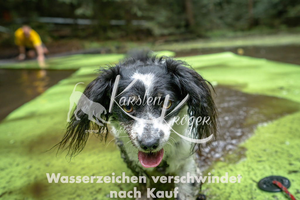 1522_ZZ90449-Bearbeitet | kk-dogfotos