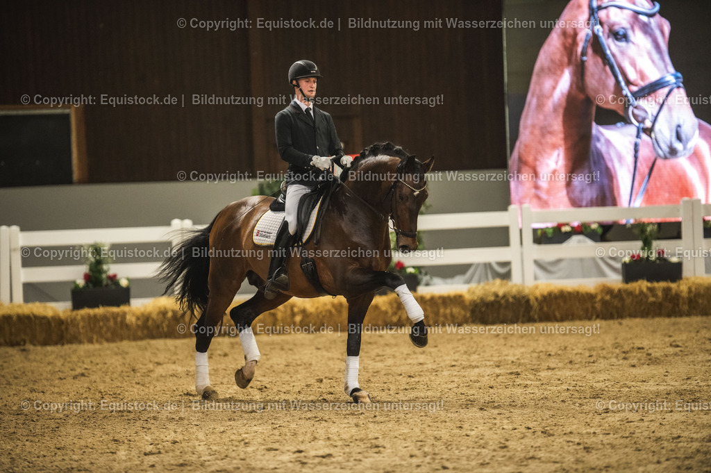 20240302_Hengstvorstellung_Marbach_TOMsPiC_1256 | equistock