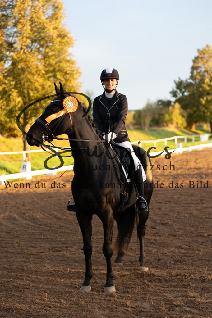 A7V06167 | Pferdefotograf