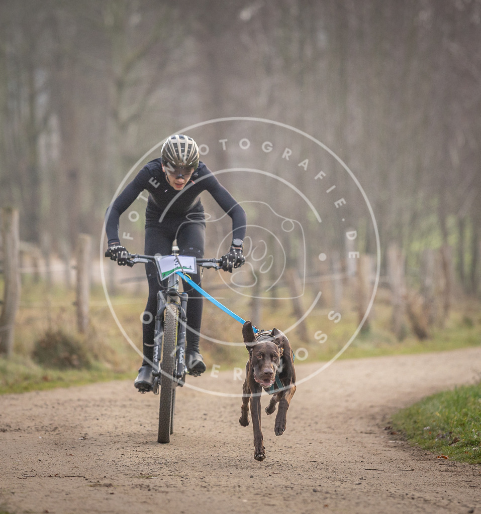 Pfotenfotografie_DV3A1538 | Hundefotografie, Tierfotograf, Pfotenfotografie, Fotoshooting Hund, Hunde Portrait, Hundesport, Hundeportraits, Heideshooting, Hunde, Sportfotograf, Hundefotograf, Turnierhundsport, THS,  - Realisiert mit Pictrs.com