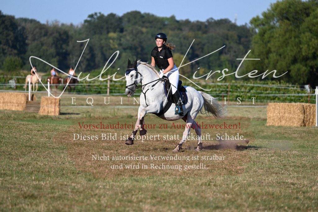 DSC_9207 | Pferde- und Turnierfotografie in Westsachsen. Pferdeportraits, Auftragszeichnungen und intuitive Kunst.