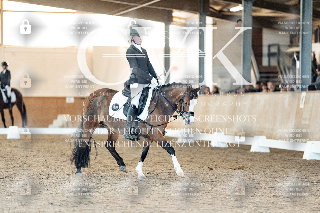 CK907458 | Turnierfotografie Pferdefotografie Trier Rheinland-Pfalz Pferdesport Reitsport Tierfotografie Sportfotografie Pferdevideo Pferdevideografie Equestrianvideography equestrianphotography  - Realisiert mit Pictrs.com