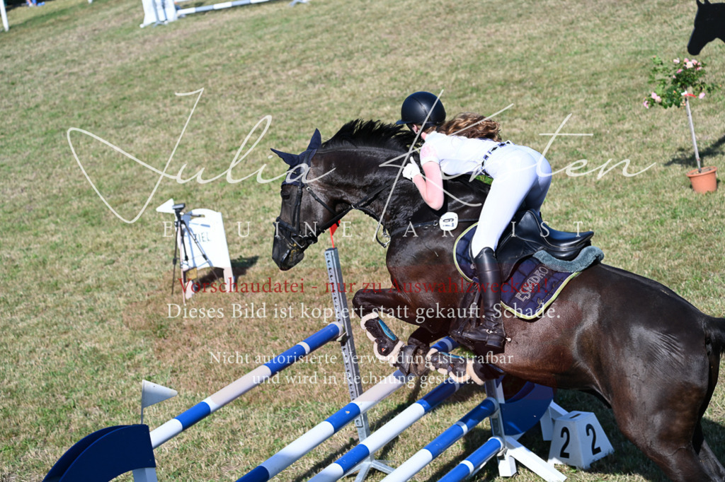 DSC_2496 | Pferde- und Turnierfotografie in Westsachsen. Pferdeportraits, Auftragszeichnungen und intuitive Kunst.