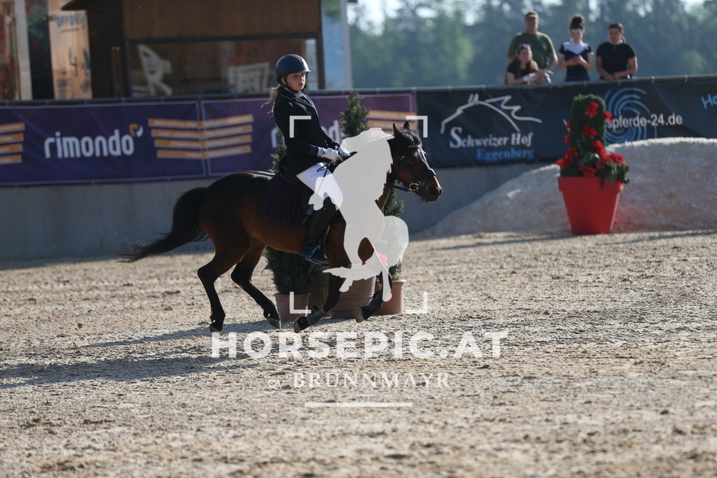 PP012254 | Willkommen bei Brunnmayr - Design & Fotografie – Ihrem Spezialisten für Reitturniere und Pferdeveranstaltungen in Oberösterreich, Salzburg und Bayern! Seit über 17 Jahren sind wir leidenschaftlich dabei.