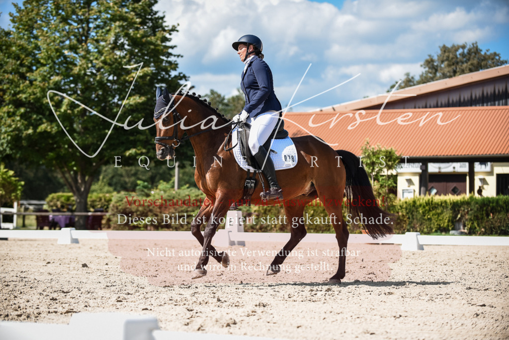DSC_9450 | Pferde- und Turnierfotografie in Westsachsen. Pferdeportraits, Auftragszeichnungen und intuitive Kunst.