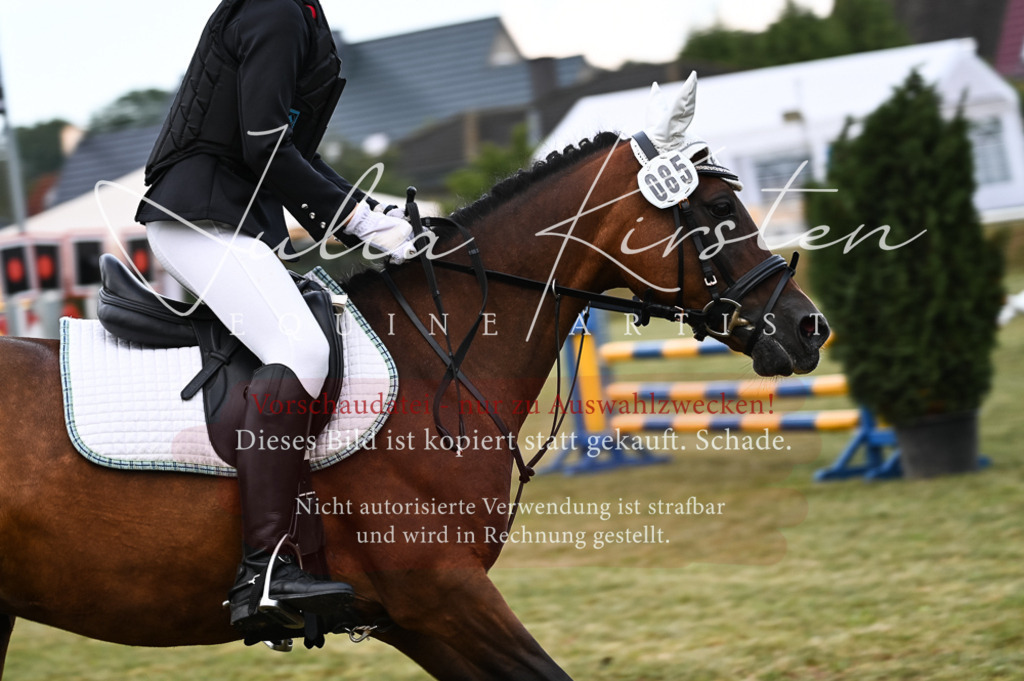 DSC_5721 | Pferde- und Turnierfotografie in Westsachsen. Pferdeportraits, Auftragszeichnungen und intuitive Kunst.