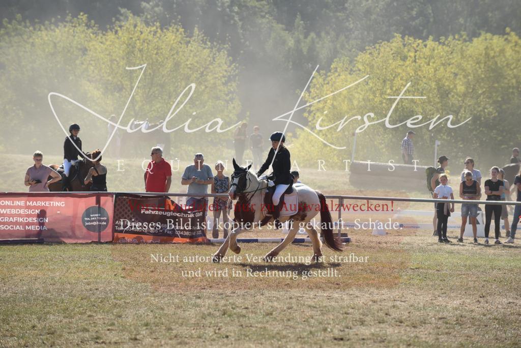 DSC_6096 | Pferde- und Turnierfotografie in Westsachsen. Pferdeportraits, Auftragszeichnungen und intuitive Kunst.