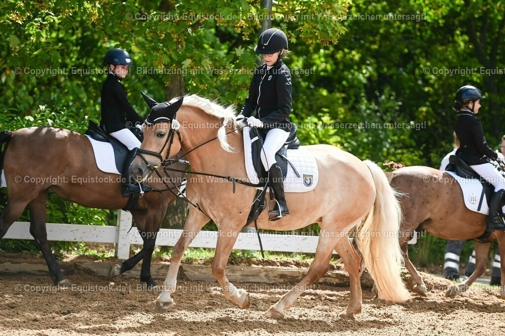 20230716_10-3_Reiter-WB Schritt - Trab - Galopp_0092 | equistock