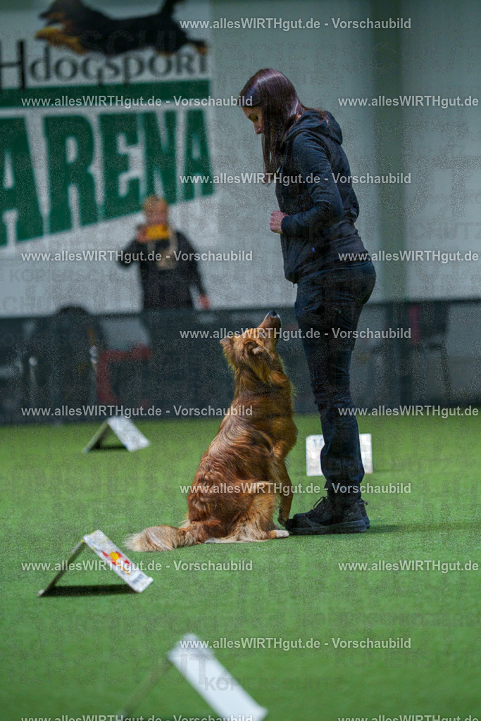 7R502960 | Professionelle Tierfotografie in Mönchengladbach von Daniel Wirth (allesWIRTHgut). Liebevolle & natürliche Bilder von Hunden & Katzen für unvergessliche Erinnerungen.