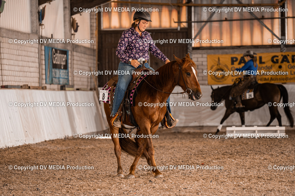 ZH100383 | dv-media-shop - Realisiert mit Pictrs.com