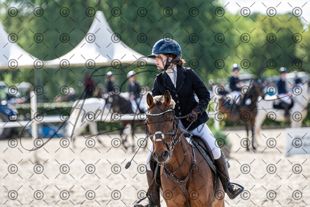 KPT_4845 | andre_photographic