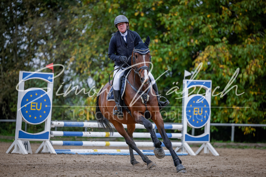 20251012-_3LI3640 | Tierfotografie Pferde, Hunde, Katzen, Haustiere.
Turnierfotografie Reitturniere, Reiten, Springreiten, Dressur in Hanau, dem Main-Kinzig-Kreis und dem Rhein-Main- Gebiet um Frankfurt