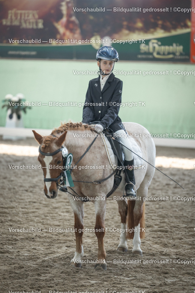 _D5A9154 | Emotionale Pferde- & People-Fotografie rund um Heidelberg, Leimen & Umgebung. Natürliche Fotos von Pferd, Mensch & Familie. Jetzt Termin sichern!