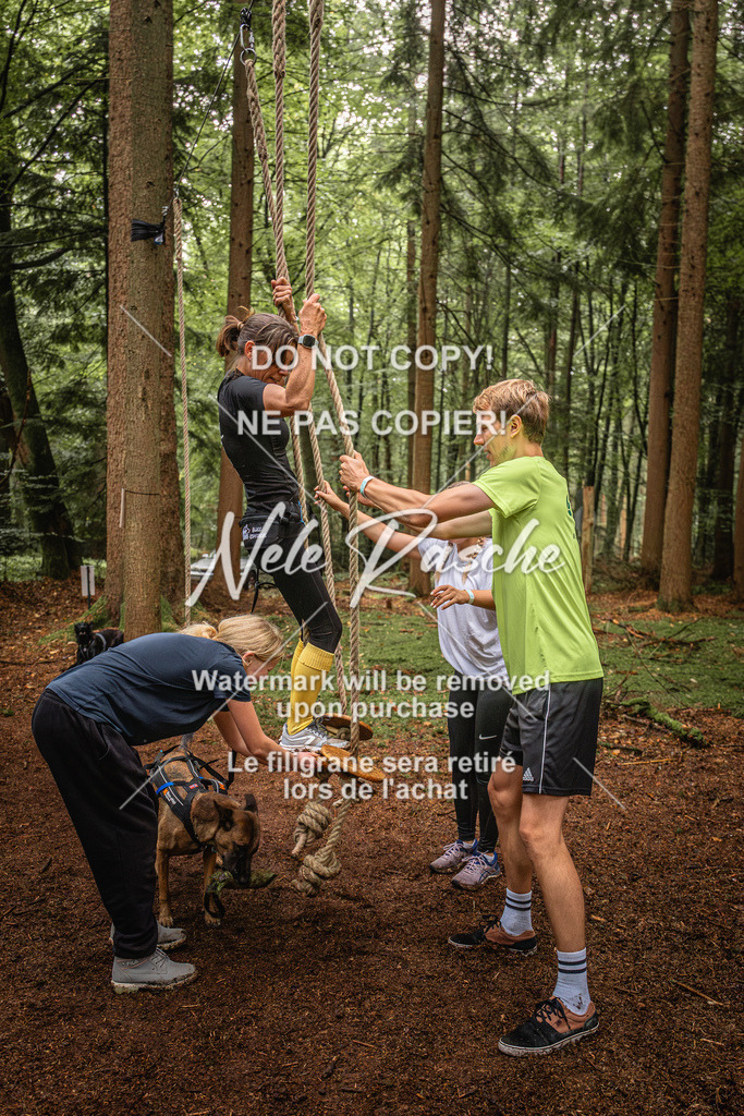 nelerasche_So0930-1030_72 | nelerasche