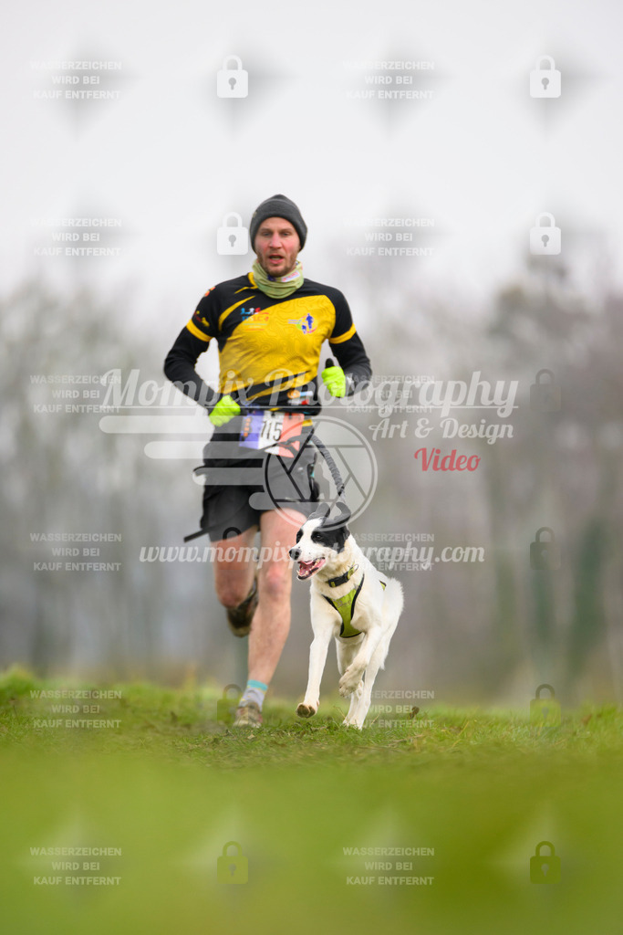 MompixPhotography_CDF2023_FFST_Di_Canicross-72 | PayLife