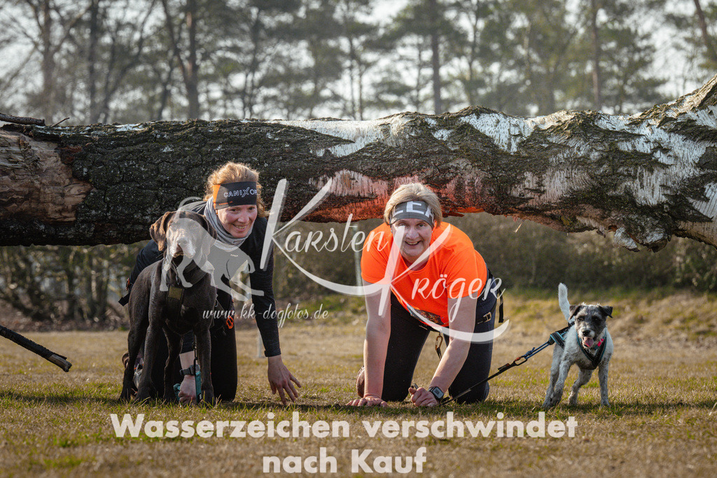 0950_ZZ90182 | kk-dogfotos