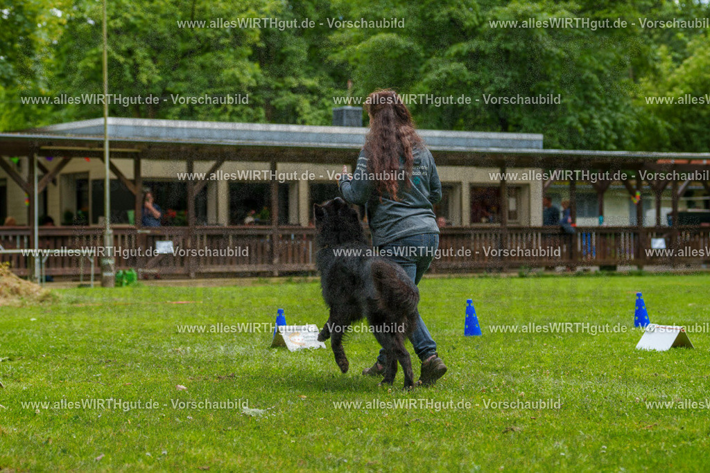 @allesWIRTHgut_Tierfotografie - www.allesWIRTHgut.de - 7R501710 | Professionelle Tierfotografie in Mönchengladbach von Daniel Wirth (allesWIRTHgut). Liebevolle & natürliche Bilder von Hunden & Katzen für unvergessliche Erinnerungen.