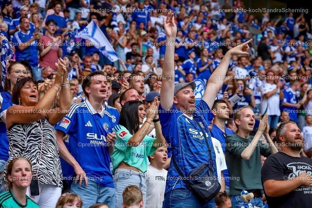 xSSC26072501024 | 26.07.2025, xsscx, Fuﬂball, FC Schalke 04 - FC Sevilla, 2. Fuﬂball Bundesliga, VELTINS-Arena, Saison 2025 2026: Fans von Schalke 04 jubelnd nach dem Tor zum 2:3 DFB regulations prohibit any use of photographs as image sequences and or quasi-video.