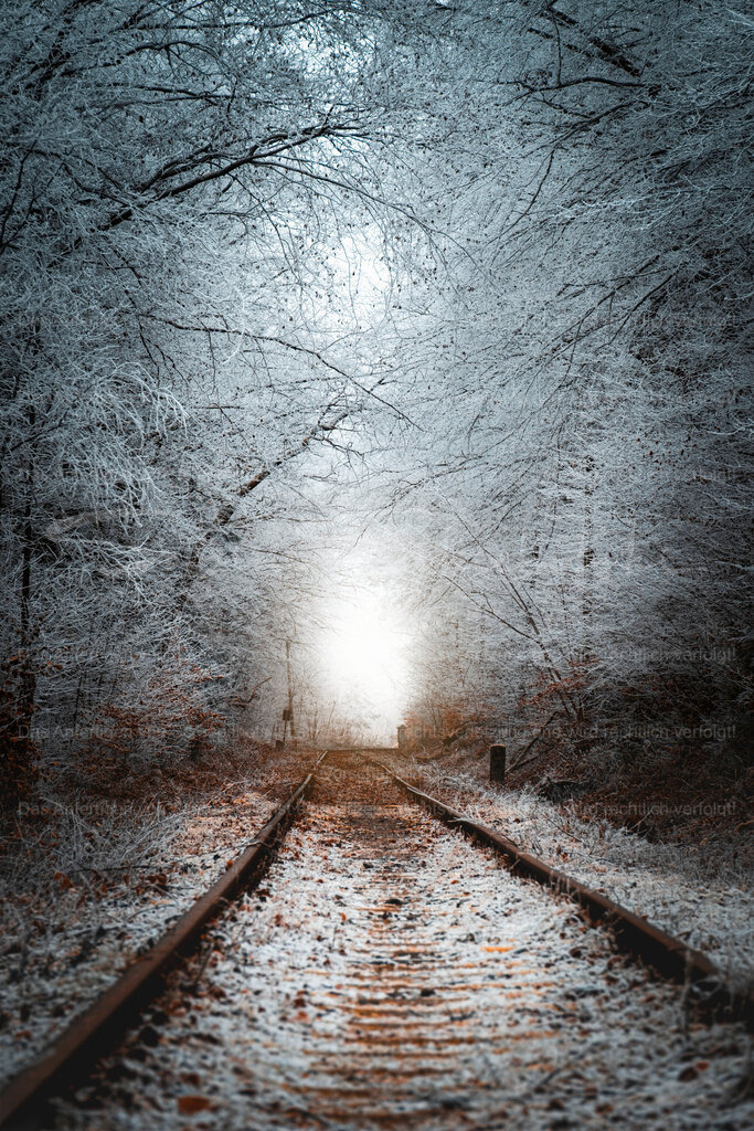 Winterbeginn in der Eifel | People- und Tierfotografie, Imageaufnahmen, Veranstaltungsfotografie und Wandbilder aus der Natur ★ Made in Germany ✔️ Druck + Downloads ✔️ Naturfotografie in Top Qualität ★ schneller Versand, weltweite Lieferung! - Realisiert mit Pictrs.com