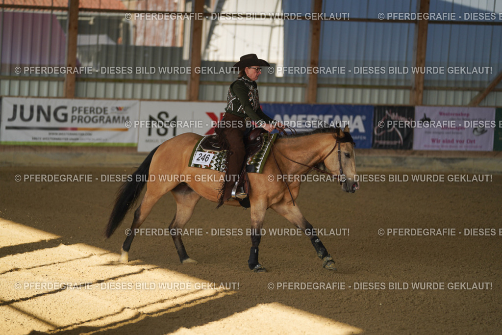 DSC08351 | Pferdegrafie