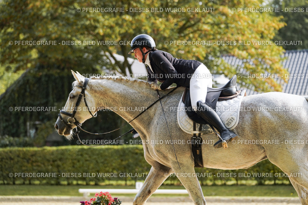 DSC04454 | Pferdegrafie