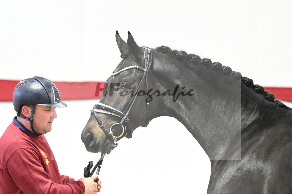 Kat-Nr. 49 v. Escamillo_Bschorer_63220453 | hf-fotografie - Realizzato con Pictrs.com