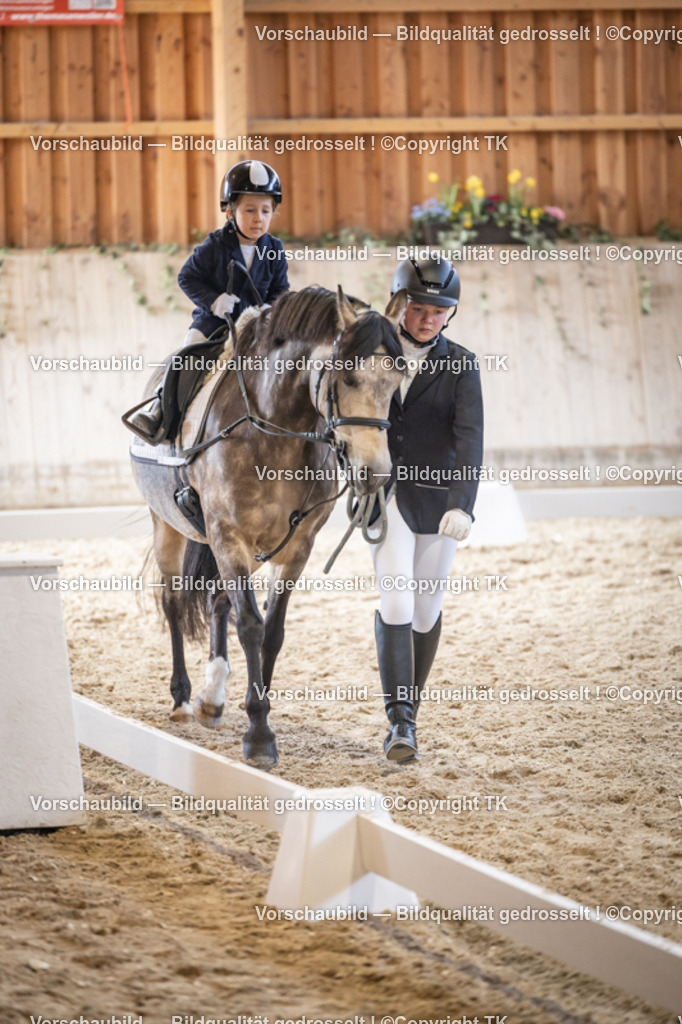 _D5A5379 | Emotionale Pferde- & People-Fotografie rund um Heidelberg, Leimen & Umgebung. Natürliche Fotos von Pferd, Mensch & Familie. Jetzt Termin sichern!