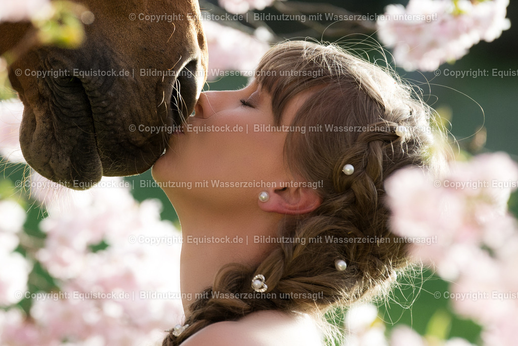 20150415_TOMsPiC_0097 | equistock