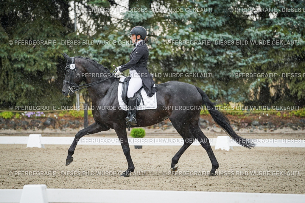 DSC08301 | Pferdegrafie