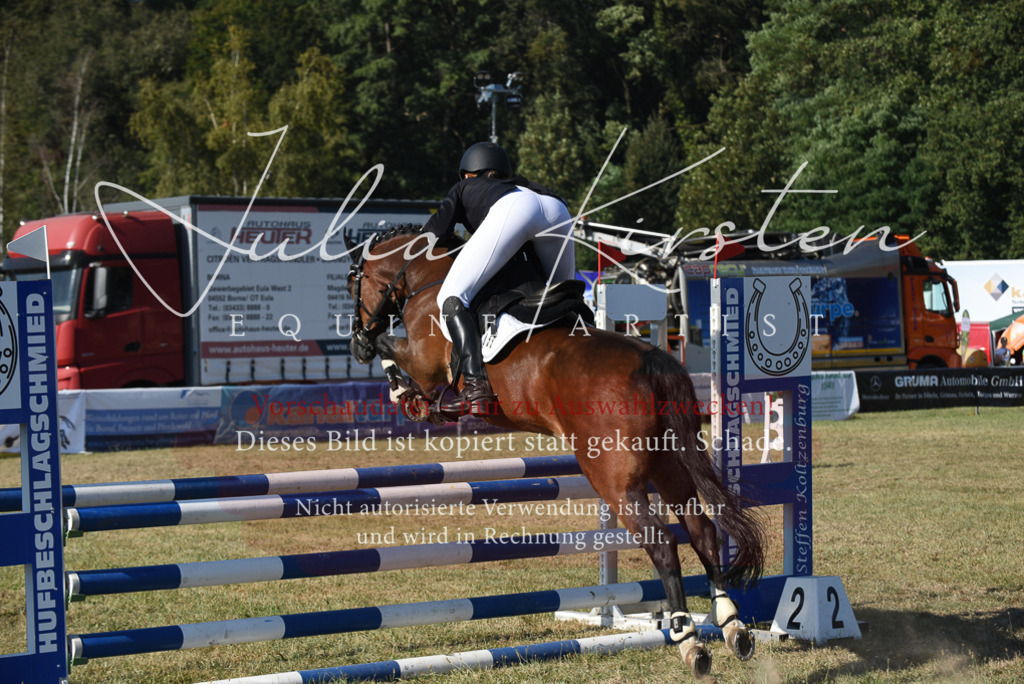 DSC_5415 | Pferde- und Turnierfotografie in Westsachsen. Pferdeportraits, Auftragszeichnungen und intuitive Kunst.