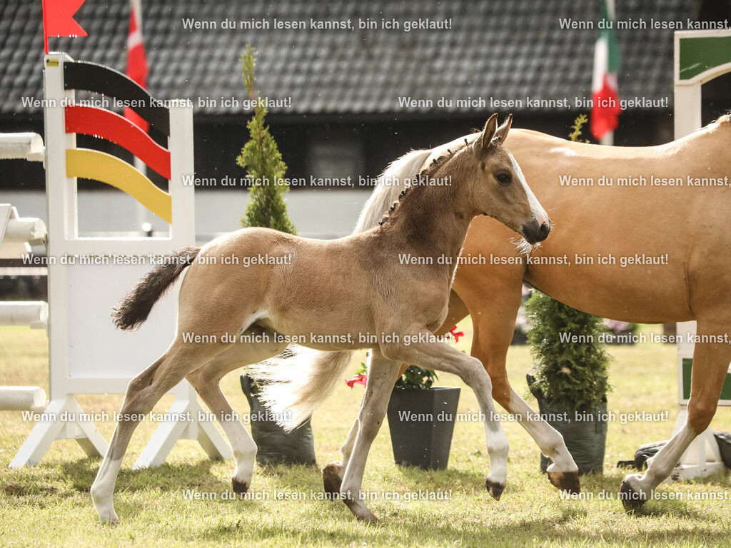 598A2193-2 | photographylinaismer - Realisiert mit Pictrs.com