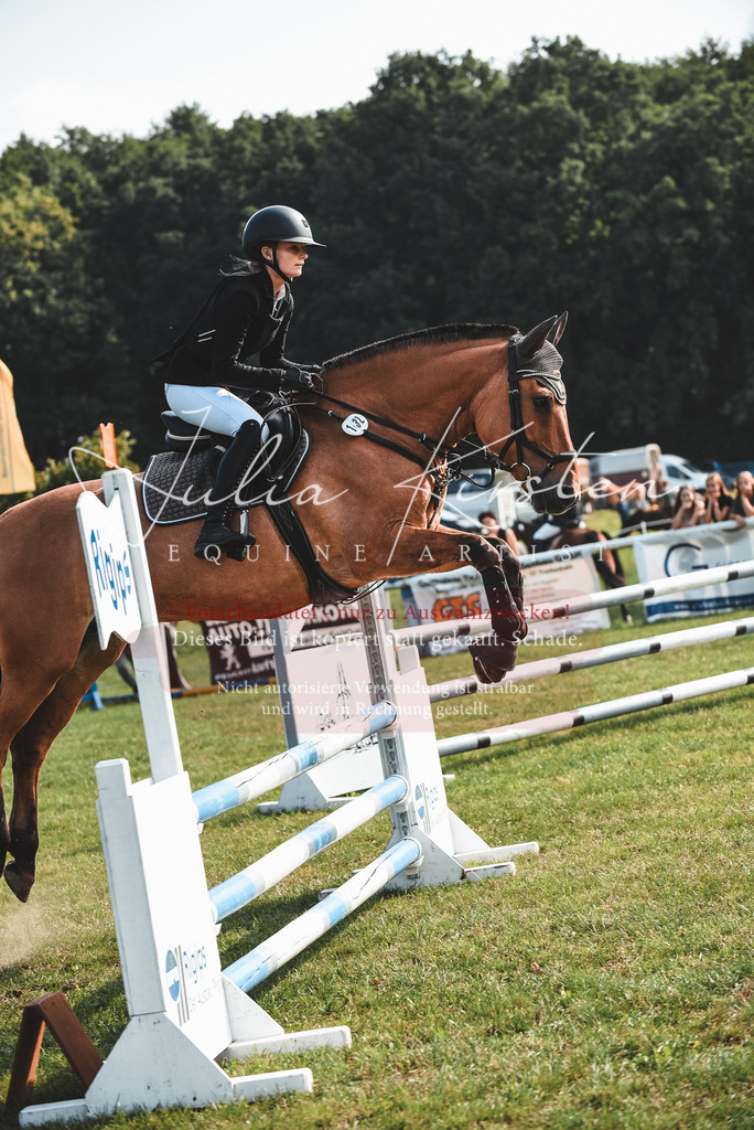 DSC_8860 | Pferde- und Turnierfotografie in Westsachsen. Pferdeportraits, Auftragszeichnungen und intuitive Kunst.