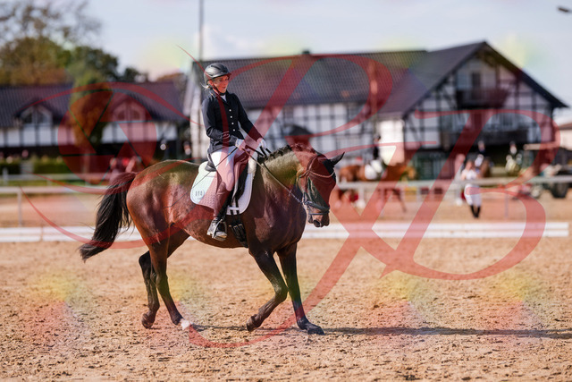 2026_10_03_Siefer-Hof_133827_Z81_96301771 | Professionelle Reitsport-, Turnier- und Eventfotografie von Robert Broda. Galerien mit ausgewählten und bearbeiteten Bildern direkt online ansehen und bestellen.