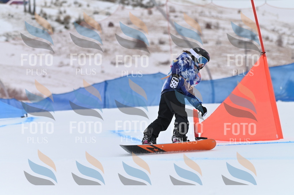 BGV_5095 | holidayphoto