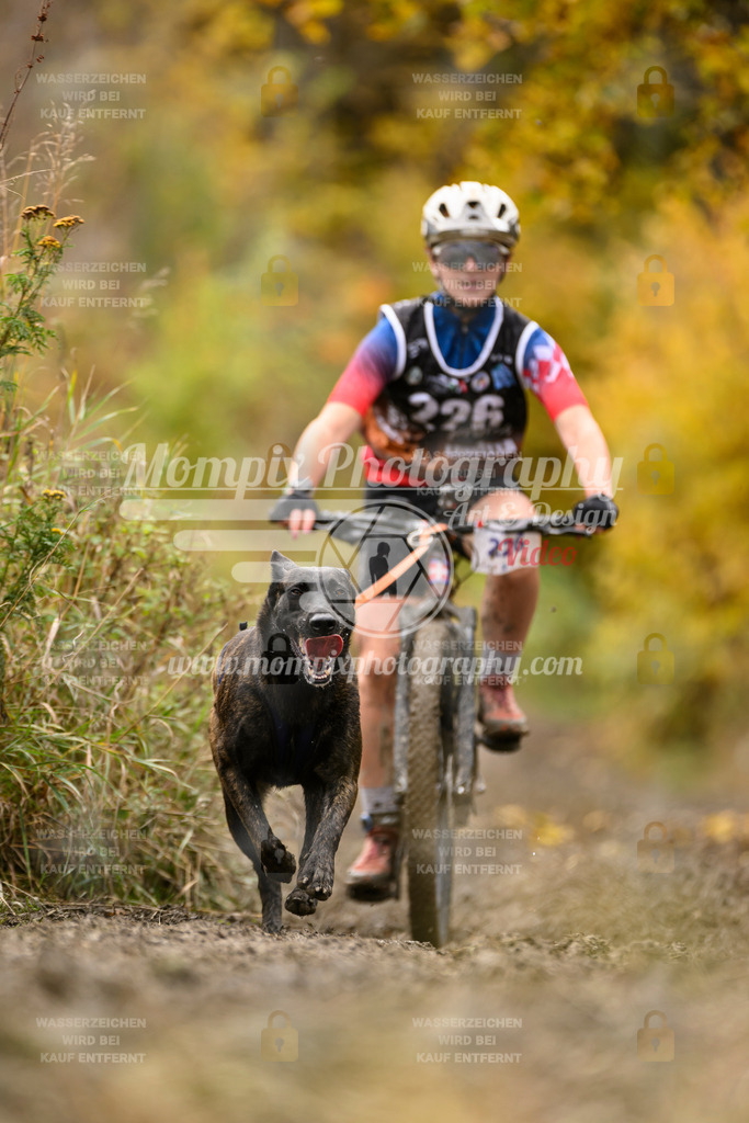 MompixPhotography_ICF_WC_2024_SA_Bike_-383 | PayLife