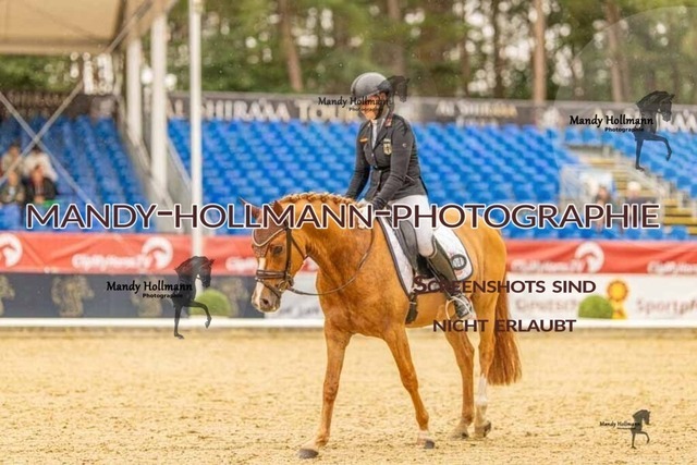 28-8-26 5j DRE-1149 | mandyhollmannphotographie