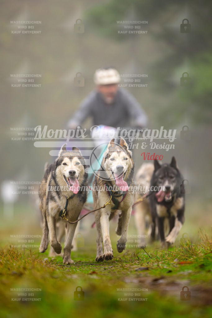 MompixPhotography_Bischwiller2025_Kart-35 | mompixphotography