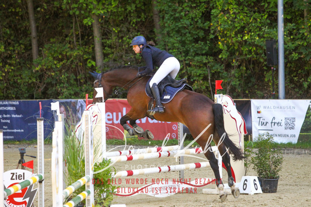 DKP42831 | Deine Turnierfotos vom Reitturnier online kaufen: Dressur, Springen & Siegerehrung. Professionelle Pferdefotografie aus dem Rheinland – als Download & Print.Alternative: Turnierfotograf für den Pferdesport: Finde deine Fotos von Dressur- und Springturnier