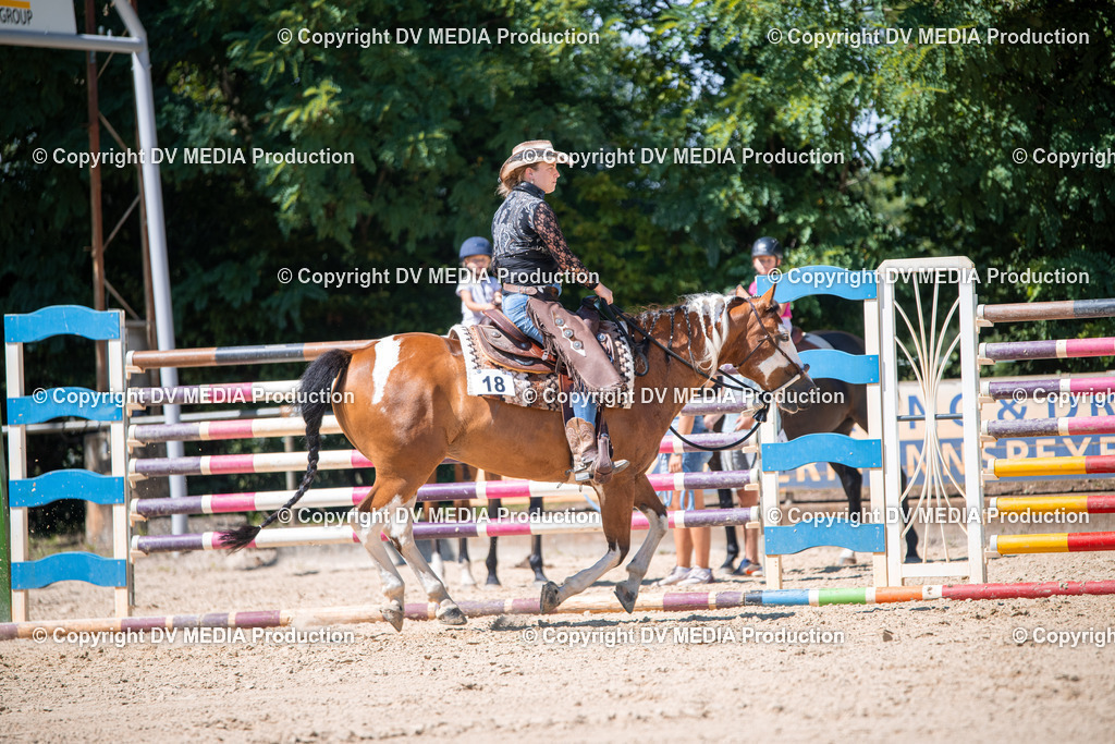 ZS1_1446 | dv-media-shop - Realisiert mit Pictrs.com