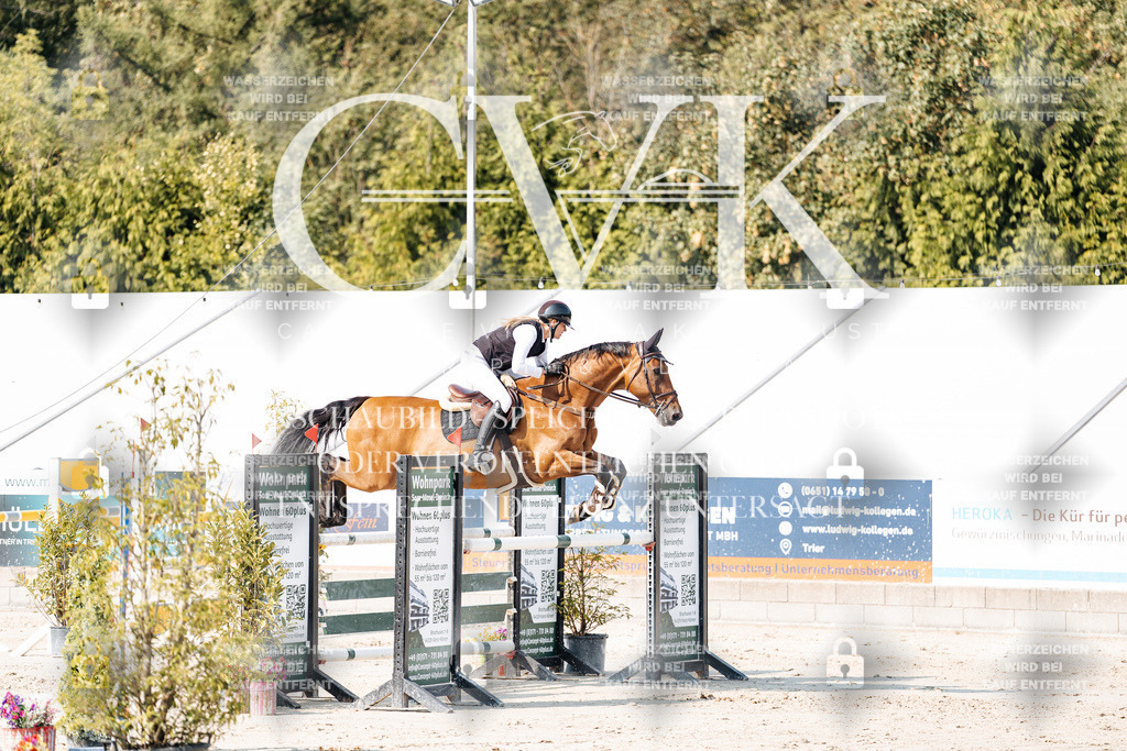 CK902604 | Turnierfotografie Pferdefotografie Trier Rheinland-Pfalz Pferdesport Reitsport Tierfotografie Sportfotografie Pferdevideo Pferdevideografie Equestrianvideography equestrianphotography  - Realisiert mit Pictrs.com