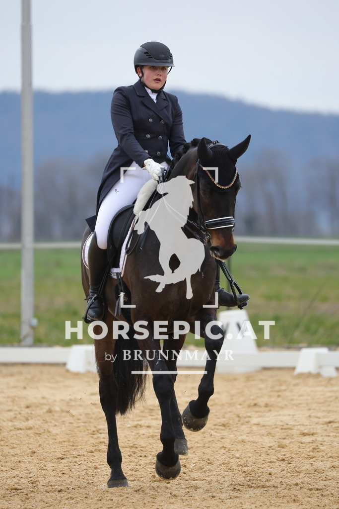 0P6A5832 | Willkommen bei Brunnmayr - Design & Fotografie – Ihrem Spezialisten für Reitturniere und Pferdeveranstaltungen in Oberösterreich, Salzburg und Bayern! Seit über 17 Jahren sind wir leidenschaftlich dabei.