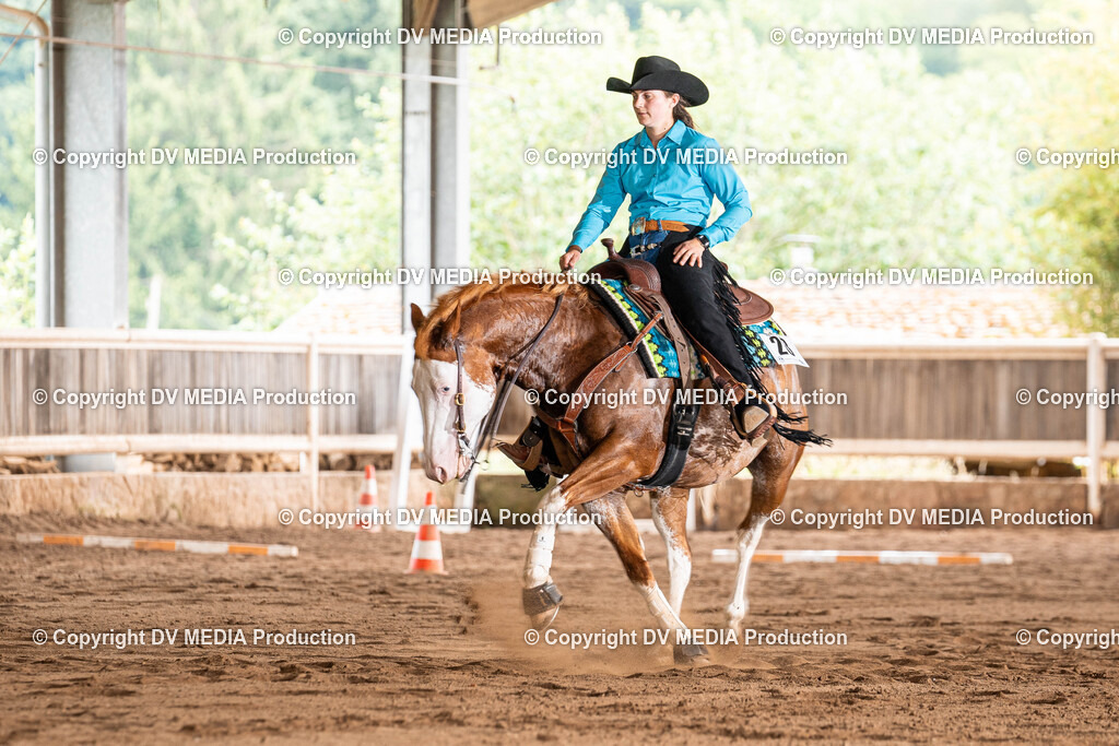 Erbach Tag 1-650 | dv-media-shop - Realisiert mit Pictrs.com