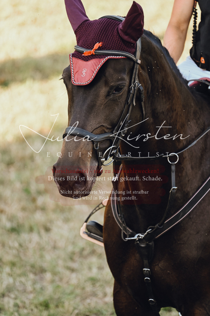 DSC_3288 | Pferde- und Turnierfotografie in Westsachsen. Pferdeportraits, Auftragszeichnungen und intuitive Kunst.